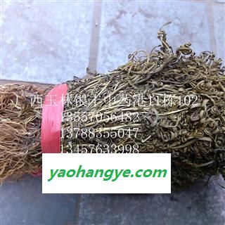 水黄连 统货 产地 广西壮族自治区百色市市辖区图1