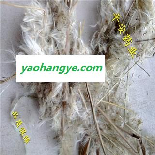 平安药业 白茅花 茅针花 白茅根花图1
