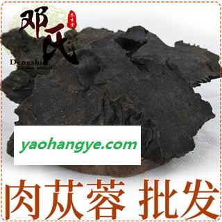 肉苁蓉 大芸 硬个1公斤起批片子 原切片 邓氏中药行图1
