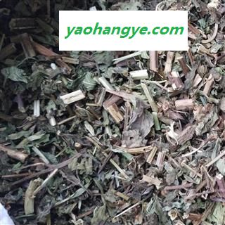 薄荷 薄荷片，全棵切片，新货，绿色 产地 河南省图1