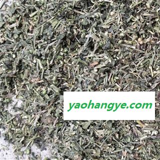 珍珠透骨草 ，珍珠透骨草片，透骨草片，统片 产地 河南省图1