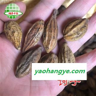 诃子统个 金柯子 正品 诃子(荆柯子)产地 新疆维吾尔自治区 买好药找娟子图1