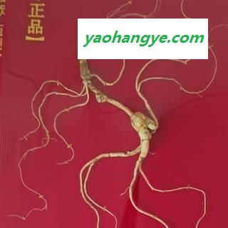人参 长白山30年林下山参精美礼盒产地直供国家权威鉴定 产地 吉林省白山市抚松县图1