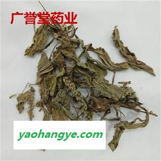 车前草 车前草 统片 山西 产地 山西省图1