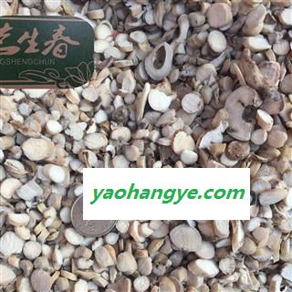 白芍 炒白芍 产地 安徽省  茗生春药材总公司 一手货源 7天无理由退换图1