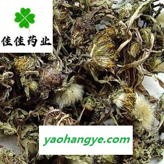 正品蒲公英 好统货 过筛货 有花 颜色好 一分价一分货 产地直销 产地 山西省图1
