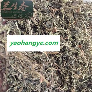 鹅不食草 统 产地 福建省 茗生春药材总公司 一手货源 7天无理由退换图1