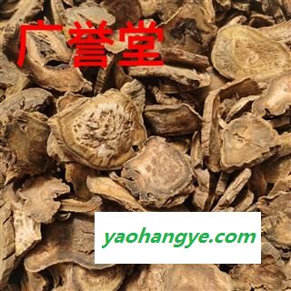 大黄 统 产地 甘肃省图1