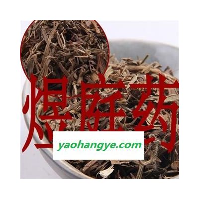 煜庭药业 吉祥草 观音草 玉带草 正品