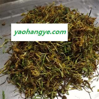 金银花开花统货 产地 广西壮族自治区南宁市上林县 马上县图1
