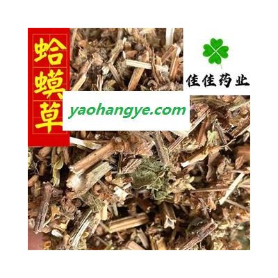 蛤蟆草 蛤蟆草 统货 产地直销 供应各种中药材 产地 山东省