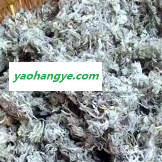 《满198包邮》茵陈 绵茵陈灰白色统段 产地 河南省图1