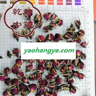 玫瑰花 金边玫瑰  云南好选货 产地 云南省【品种齐全 诚信经营】图1