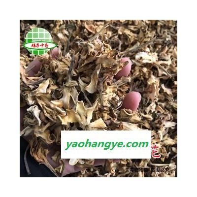 栀子花 栀子花统货 产地 江西省 买好药找娟子