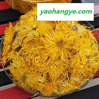 菊花 金丝皇菊 一杯一大朵 味道好 色泽佳图1