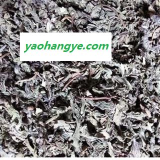 诺源药材行正品小蓟 刺儿菜 小蓟根 另有小蓟炭图1