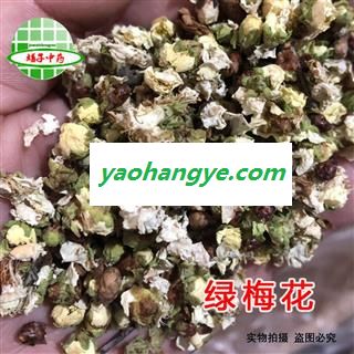 梅花 绿梅花 大花统货 产地 浙江省图1