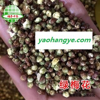 梅花 绿梅花 开花率3% 产地 浙江省舟山市  娟子中药行图1