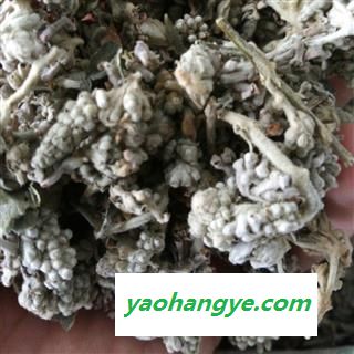 密蒙花 统 产地 安徽省巢湖市和县图1