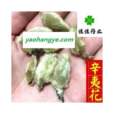 辛夷花 统 产地 河南省 辛夷花 毛桃 量大从优 供应各种香料