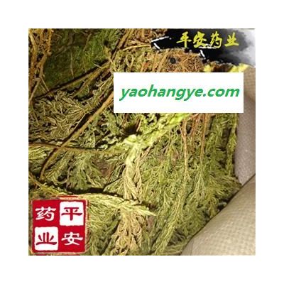 平安药业 石上柏 地侧柏 正品 色绿