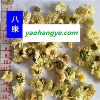 太阳菊 统图1