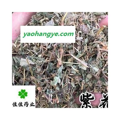 紫花地丁 好统 颜色好 产地直销 供应各种中药材 产地 山东省