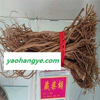 柴胡 精选多年生高品质藏柴胡 产地 甘肃省陇南市宕昌县图1