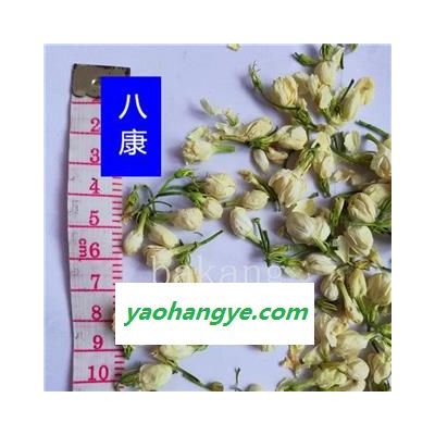 茉莉花 01统