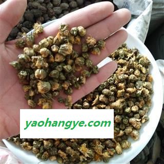 胎菊 选 产地 浙江省 国药堂 专注品质图1
