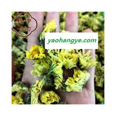 菊花 杭菊，杭白菊，选货 产地 浙江省【品种齐全 诚信经营】