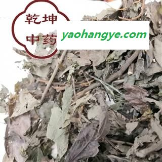 槐花 小槐花（胃草） 产地 四川省【品种齐全 诚信经营】图1