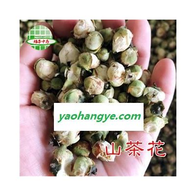 山茶花 山茶花 茶用级别好货 产地 福建省 买好药找娟子