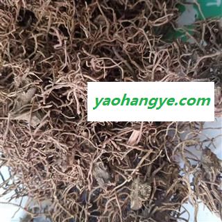 诺源药材行中药材四块瓦  四叶细辛 四叶对  万根丹 灯笼花  分叶芹图1