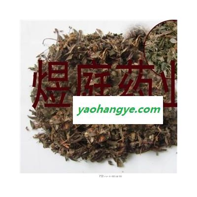 煜庭药业 药王茶 观音茶 茶婆子 金腊梅 正品