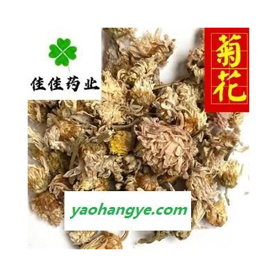 菊花 选 实物图 白菊花 药用菊花 实物图 新货 颜色好 干度好 产地 河北省