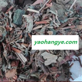 安祁名药正品珍珠菜  狼尾花 田螺菜图1