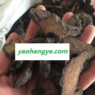 诺源药材行优质锁阳 红头锁阳 另有肉苁蓉图1