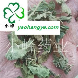 紫花地丁 地丁 正品货 新货 颜色好 无虫蛀 产地 山东省图1