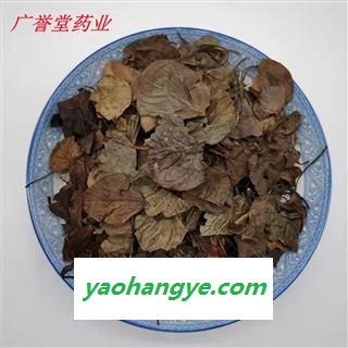 鹿衔草 鹿晗草选片 产地 吉林省通化市柳河县图1