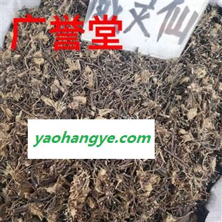 威灵仙 统货 产地 东北图1