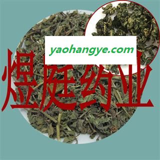 煜庭药业 绞股蓝图1