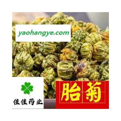 胎菊王 选装 未开花 味道浓 好胎菊 选 产地 江苏省 供应各种中药材 冷背货 矿石等