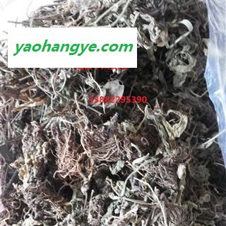 灯盏细辛 地顶草 灯盏花地朝阳 双葵花 东菊 灯盏草 牙陷药 罐儿草 统货 正品 优质 名医最爱 产地 四川省图1
