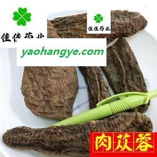 肉苁蓉个 选装 产地 新疆维吾尔自治区 大云 硬大芸 肉苁蓉图1
