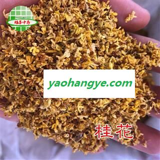 桂花 桂花选货茶用级别 产地 安徽省 买好药找娟子图1