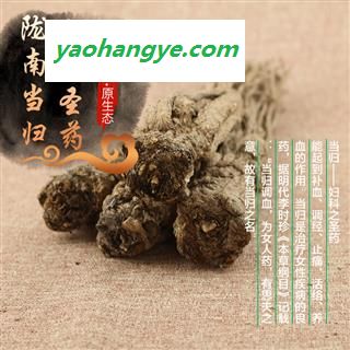 岷当归 全当归大条25支 产地 甘肃省陇南市宕昌县图1