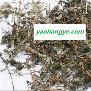诺源药材行正品猪殃殃  八仙草 锯子草图1