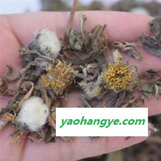 诺源药材行优质蒲公英图1