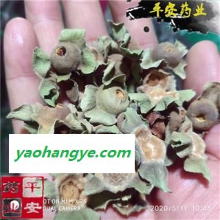 天华药行 绿柿蒂 新货 嫰柿蒂 河北 柿钱 柿丁 柿子把图1
